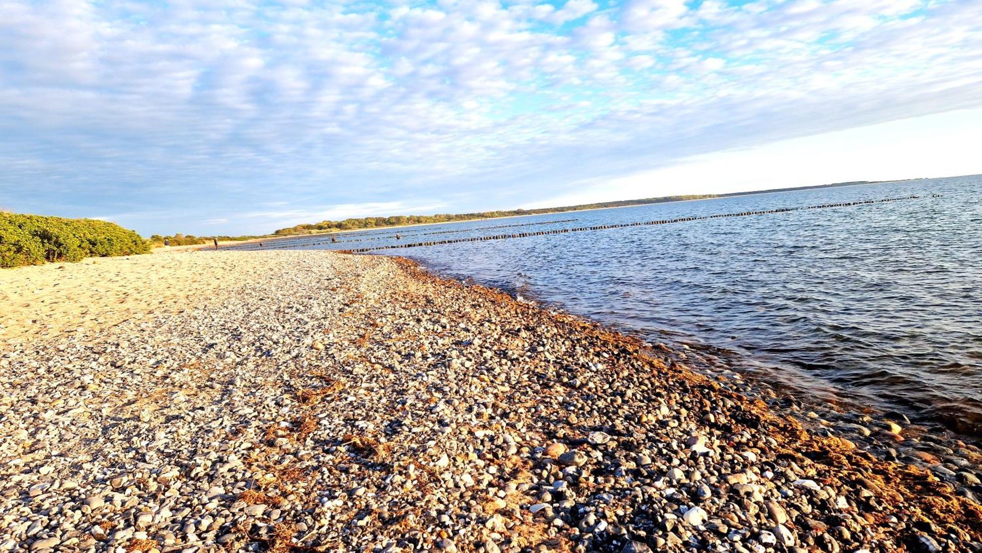 App 8O Grosser Tag Am Meer Mit Wasserblick Dranske Bagian luar foto