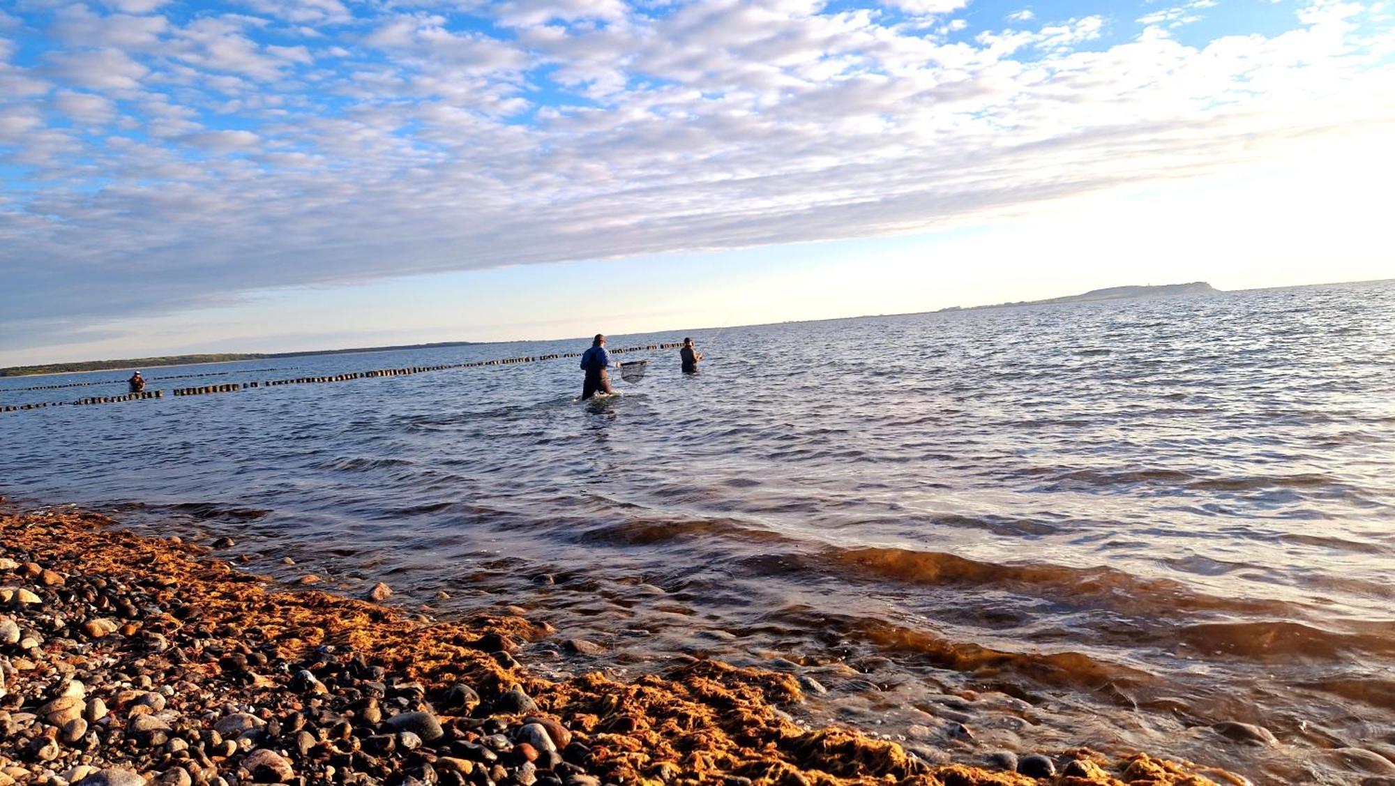 App 8O Grosser Tag Am Meer Mit Wasserblick Dranske Bagian luar foto